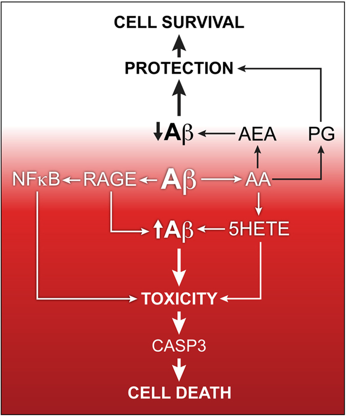 PMC5514994 – fig5