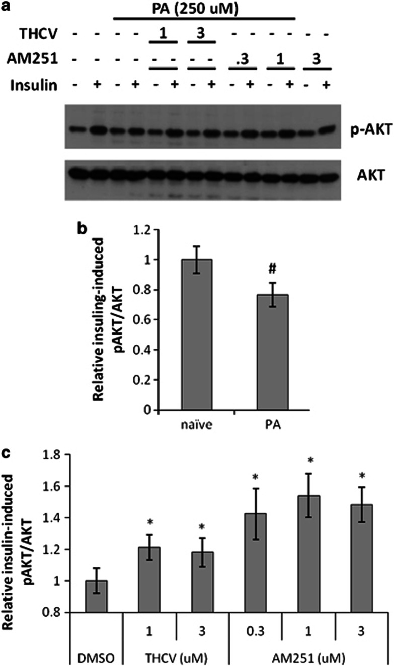 PMC3671751 – fig6