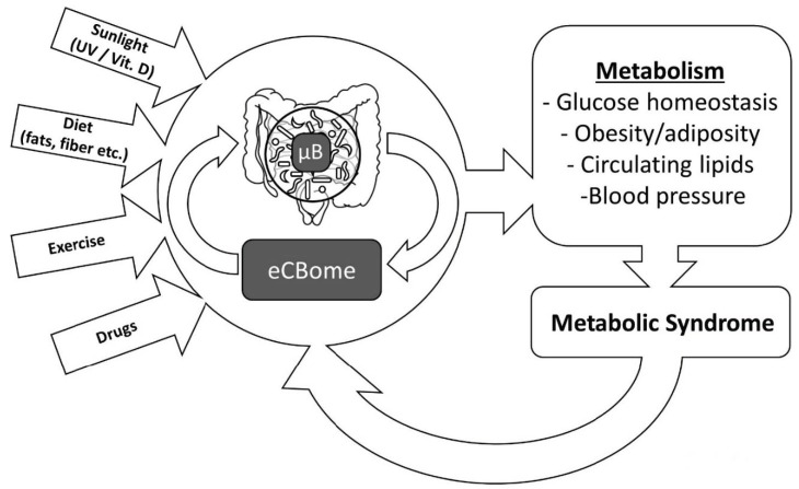 PMC6722643 – nutrients-11-01956-f002