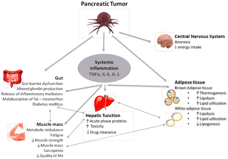 PMC7352917 – nutrients-12-01543-f001