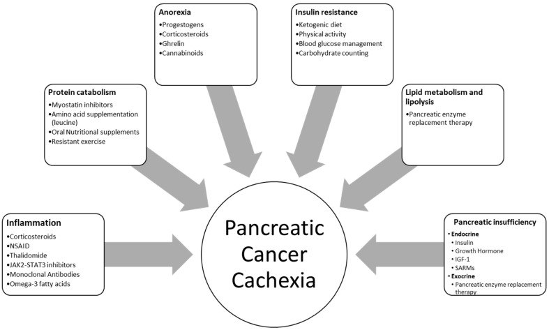 PMC7352917 – nutrients-12-01543-f002