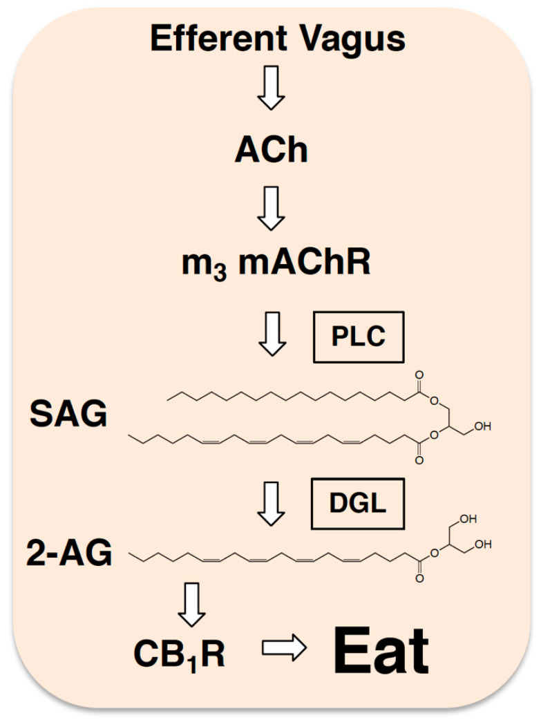 PMC8067588 – nutrients-13-01214-f003