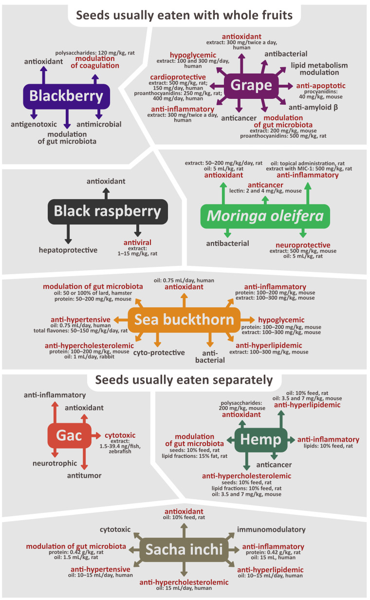 PMC9823554 – nutrients-15-00187-f002