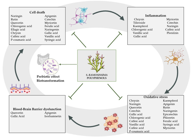PMC9919161 – nutrients-15-00793-f001