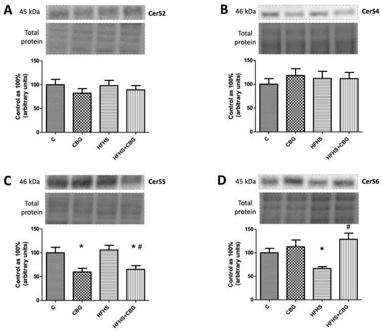 PMC10609522 – nutrients-15-04350-f005