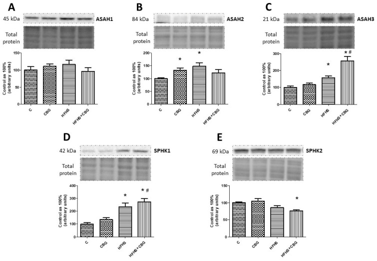 PMC10609522 – nutrients-15-04350-f006