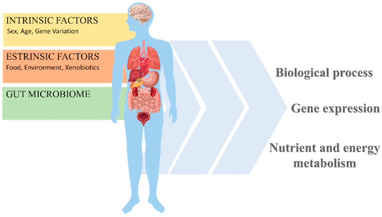 PMC11435074 – nutrients-16-03114-f002