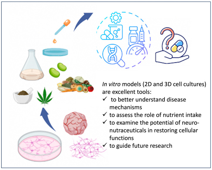 PMC11435074 – nutrients-16-03114-f003