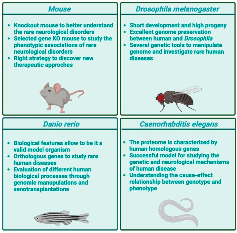 PMC11435074 – nutrients-16-03114-f004