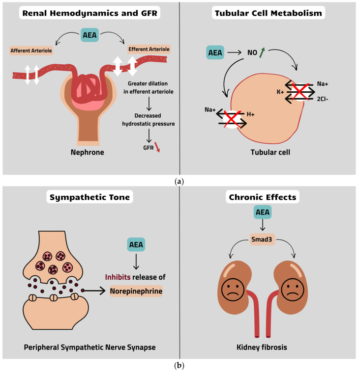 PMC11722839 – nutrients-17-00059-f001