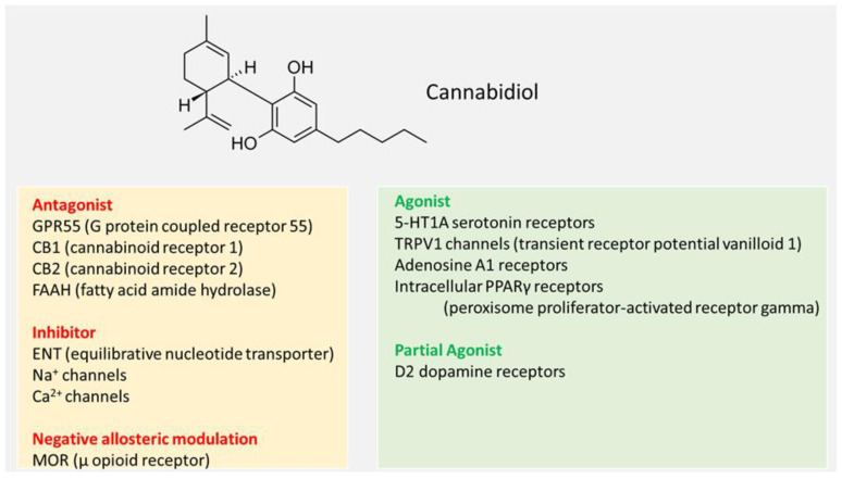 PMC11820564 – nutrients-17-00489-f001