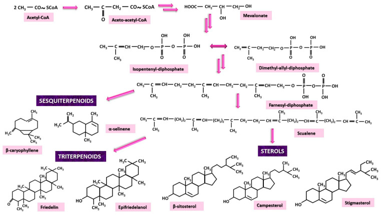 PMC11902196 – nutrients-17-00861-f004