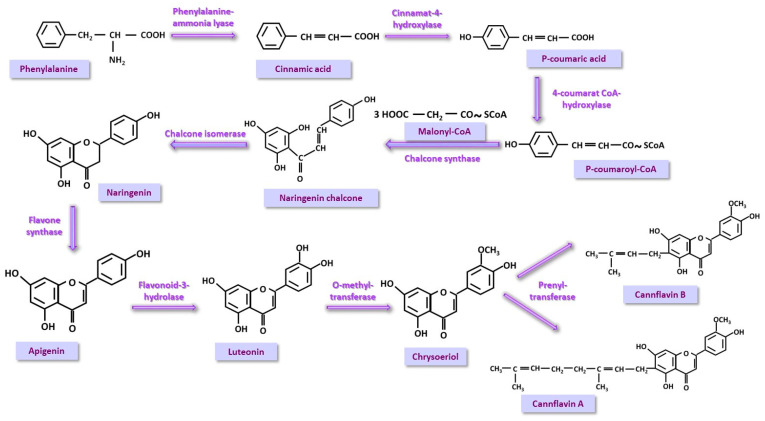 PMC11902196 – nutrients-17-00861-f005