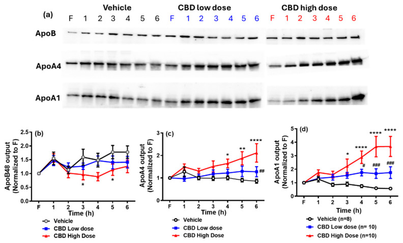 PMC11944757 – nutrients-17-01034-f004