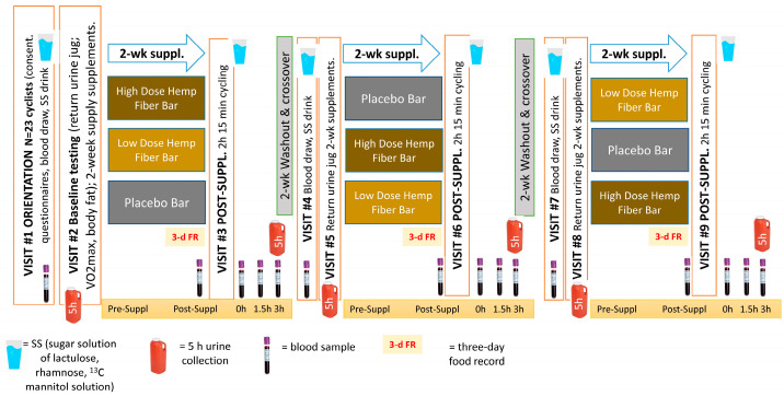 PMC12030204 – nutrients-17-01384-f002
