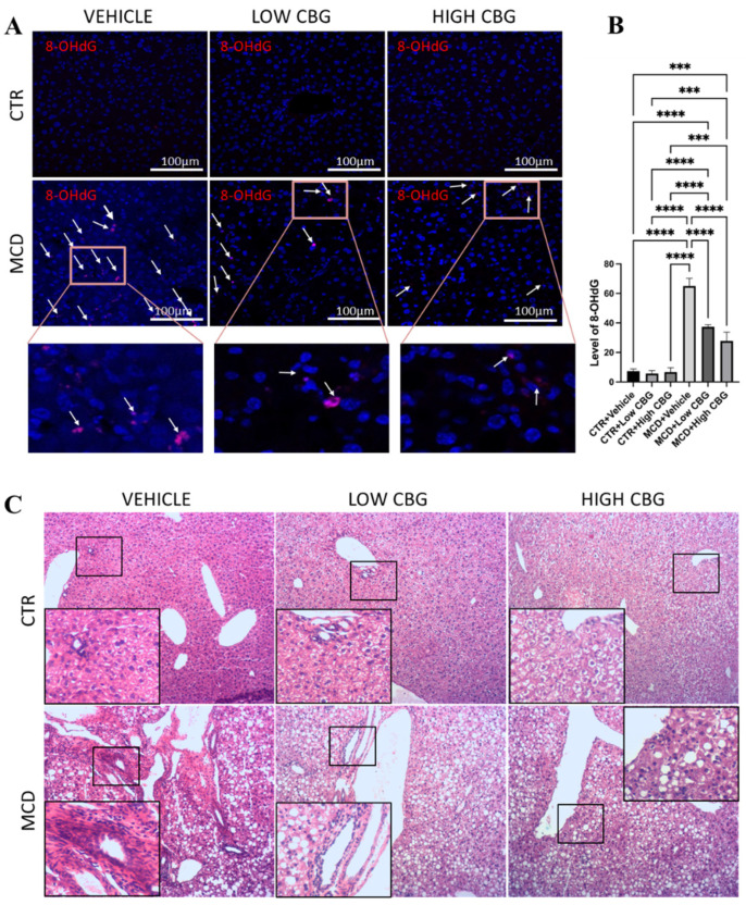 PMC12073672 – nutrients-17-01524-f001