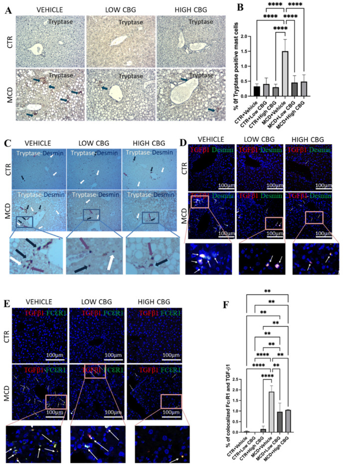 PMC12073672 – nutrients-17-01524-f004