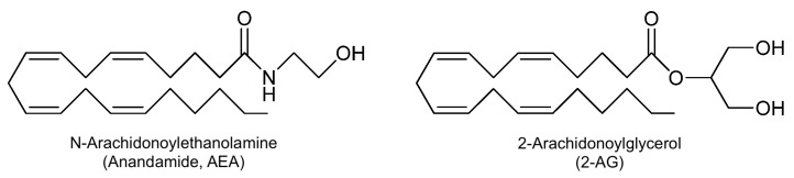PMC12074236 – nutrients-17-01578-f002
