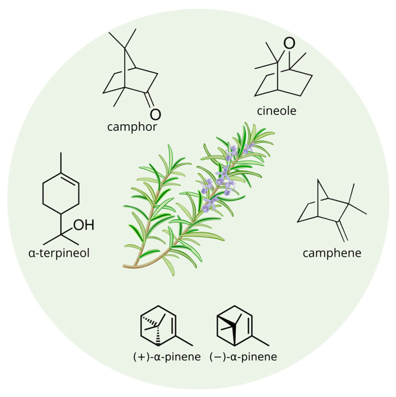 PMC12074236 – nutrients-17-01578-f003