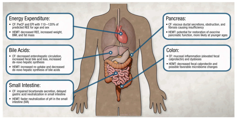 PMC12348482 – nutrients-17-02533-f001