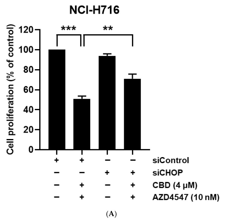 PMC12389608 – nutrients-17-02609-f005
