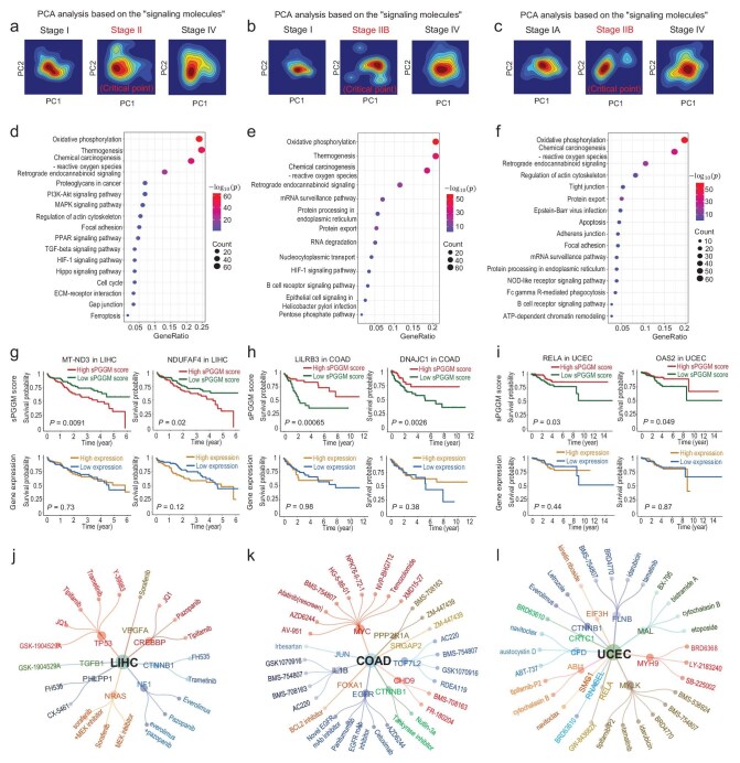 PMC12236331 – fig5
