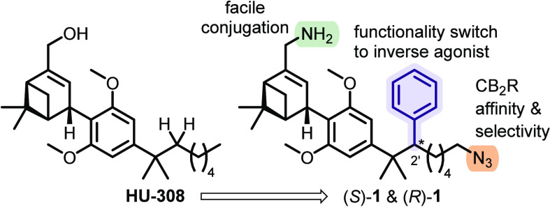 PMC11117691 – fig2