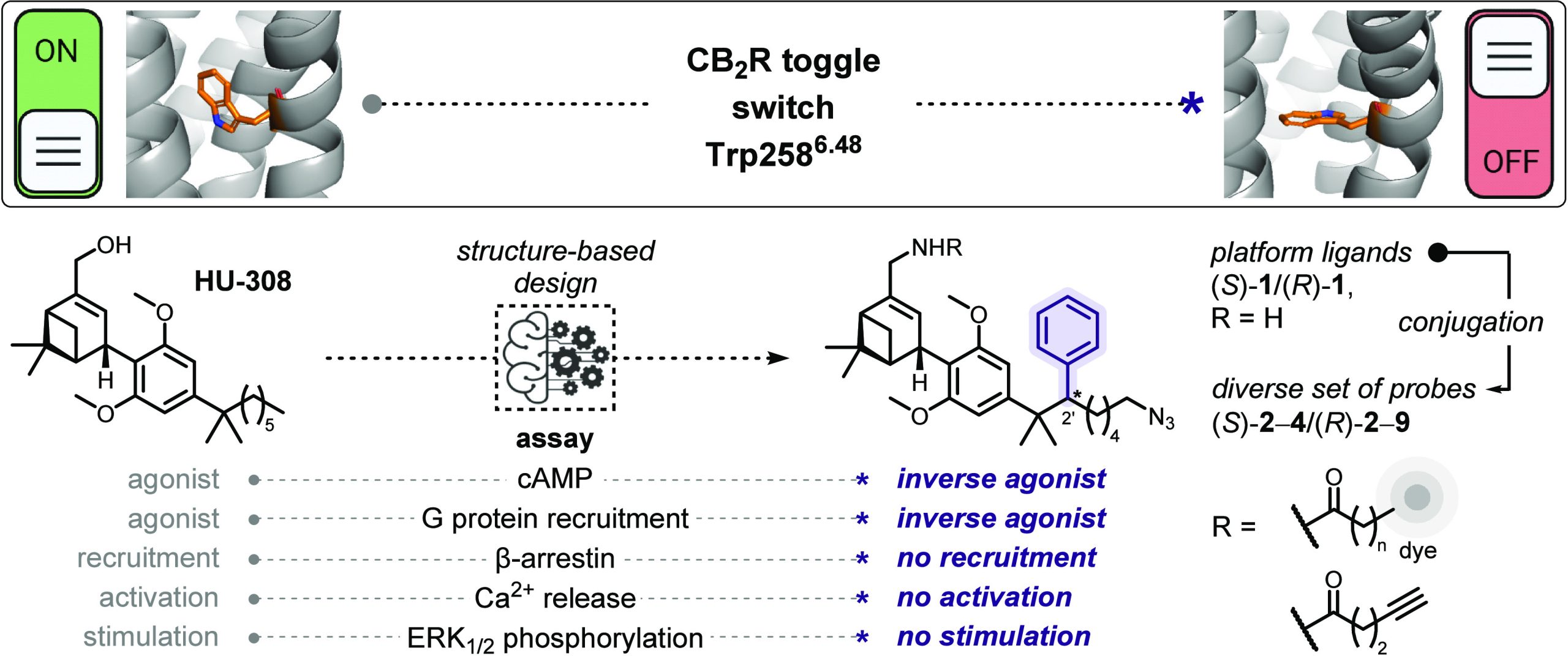 PMC11117691 – sch1