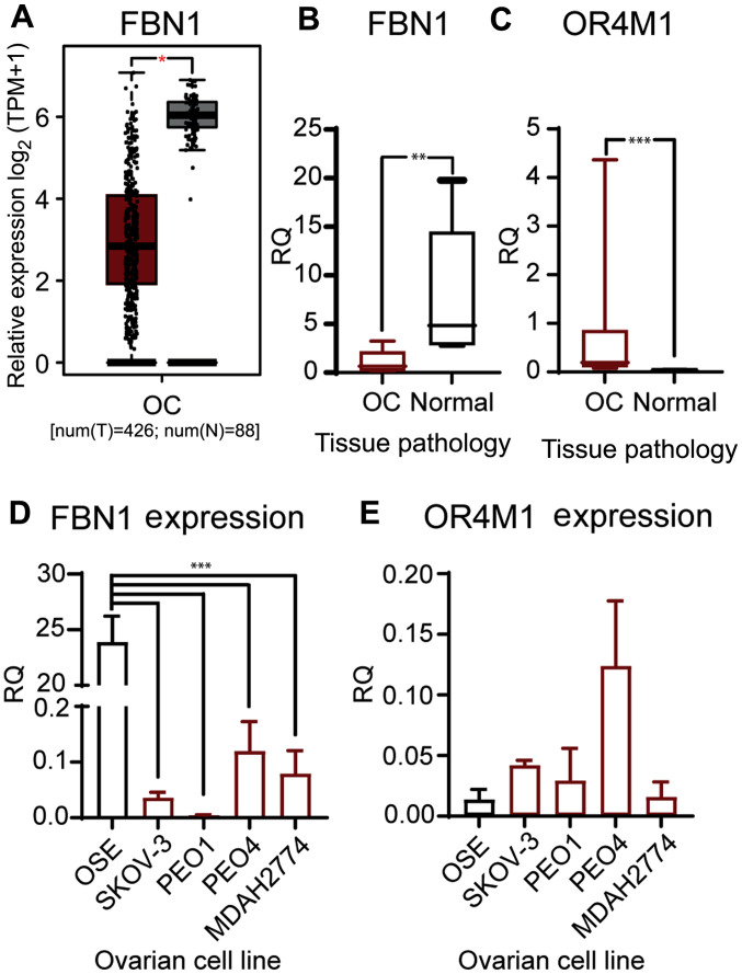 PMC8298991 – f4-ol-0-0-12911