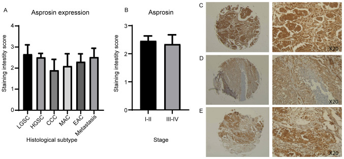 PMC8298991 – f6-ol-0-0-12911
