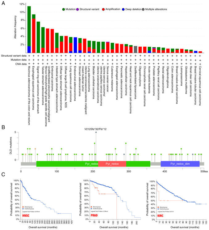 PMC10131276 – f3-ol-25-5-13800