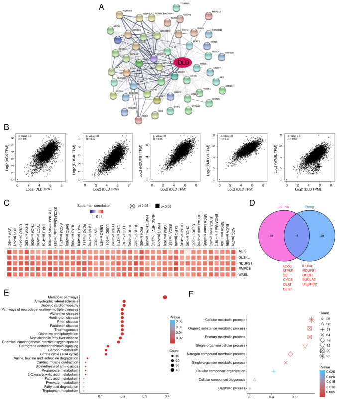 PMC10131276 – f5-ol-25-5-13800