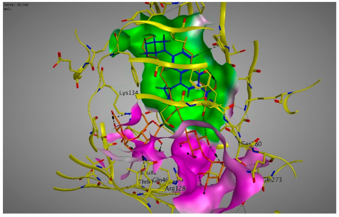 PMC7350317 – pathogens-09-00471-f006