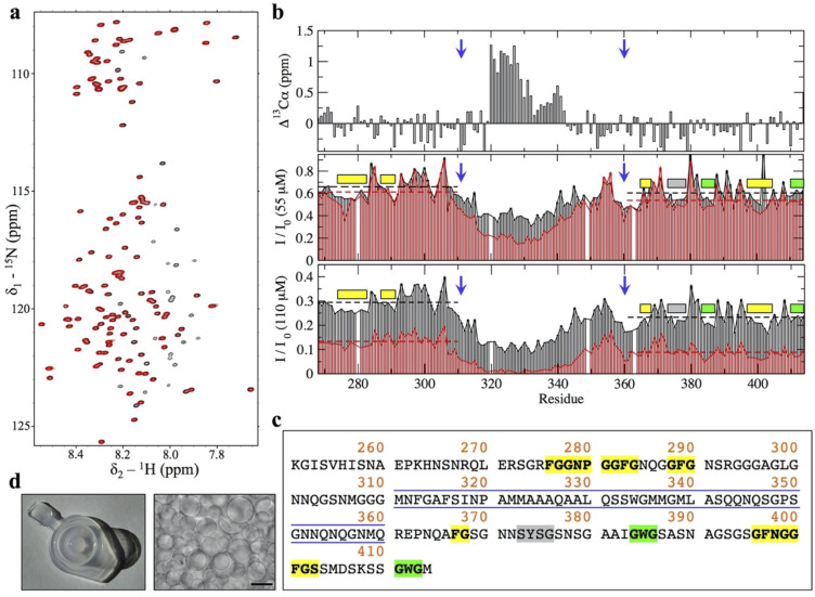 PMC8109789 – pbio.3001198.g001