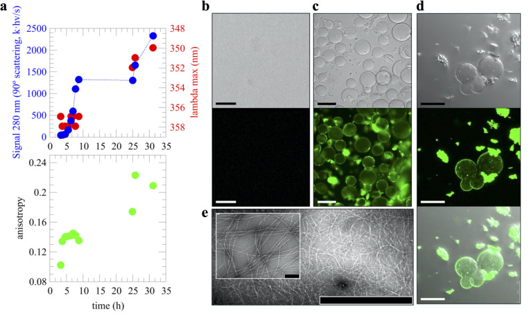 PMC8109789 – pbio.3001198.g002