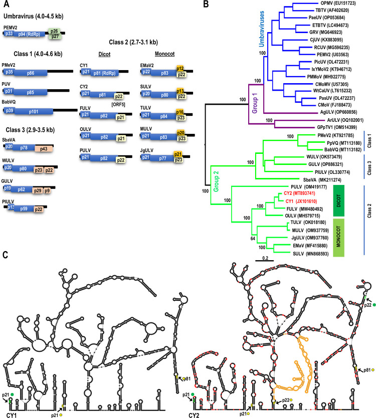 PMC11081511 – pbio.3002600.g001