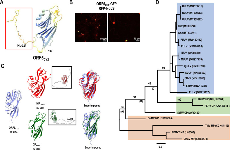 PMC11081511 – pbio.3002600.g005