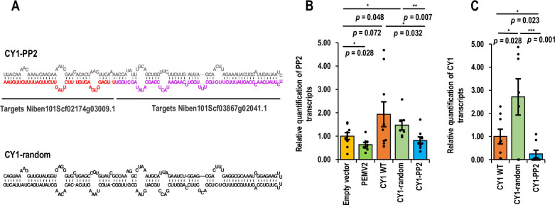 PMC11081511 – pbio.3002600.g008