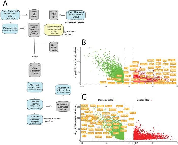 PMC6420023 – pcbi.1006701.g004