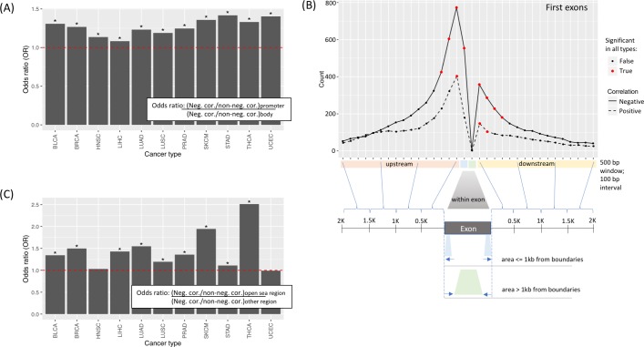 PMC6675117 – pcbi.1007095.g001