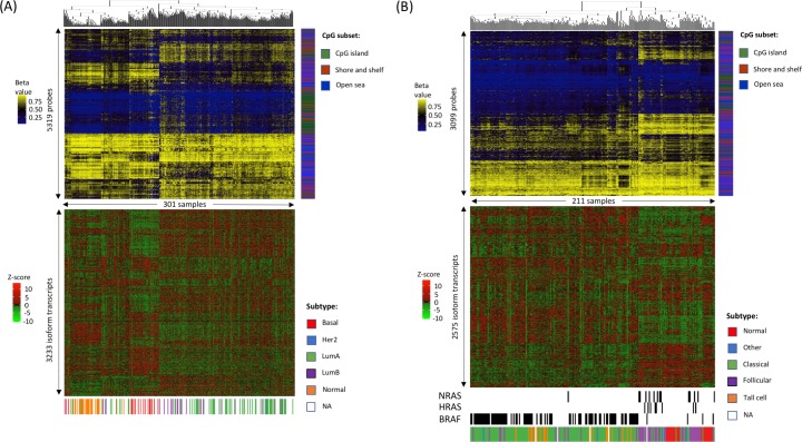 PMC6675117 – pcbi.1007095.g004