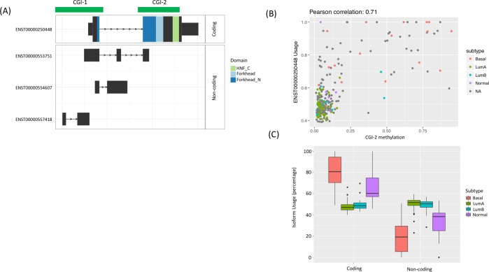 PMC6675117 – pcbi.1007095.g005