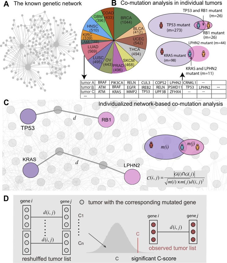 PMC7062285 – pcbi.1007701.g001