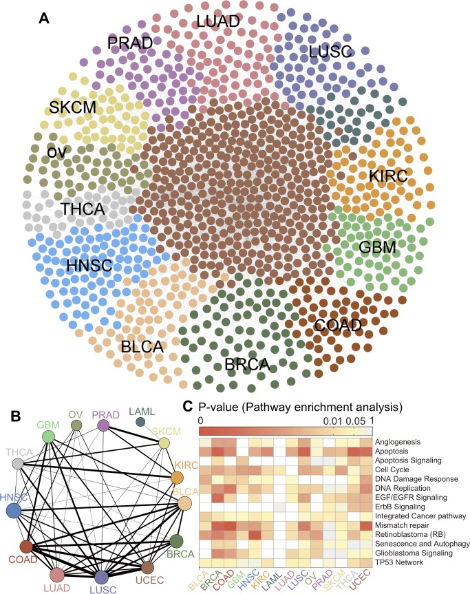 PMC7062285 – pcbi.1007701.g002