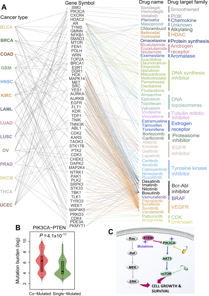 PMC7062285 – pcbi.1007701.g006