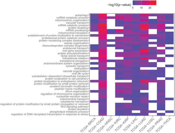 PMC9997931 – pcbi.1010342.g006