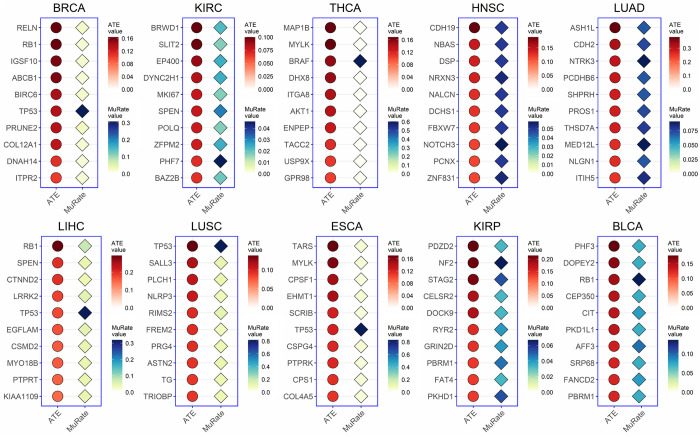 PMC9499235 – pcbi.1010529.g003