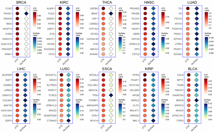 PMC9499235 – pcbi.1010529.g004