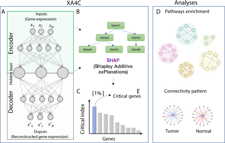 PMC10569512 – pcbi.1011476.g001