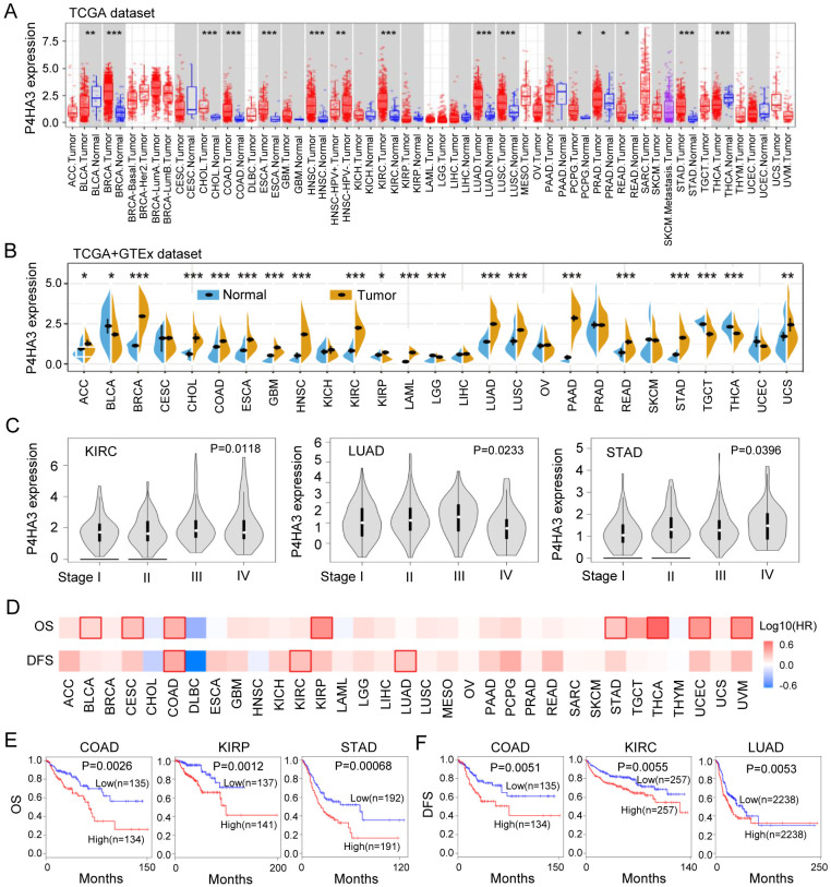 PMC11573185 – pcbi.1012284.g001